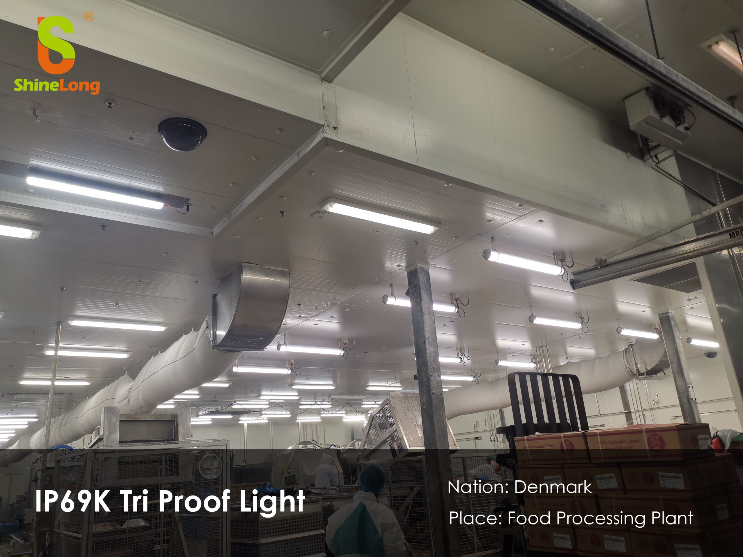 food processing light