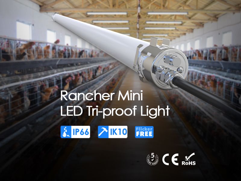 IP66 tubular light